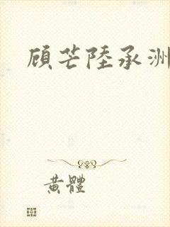 顾芒陆承洲