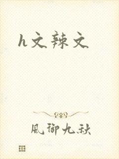 h文辣文封面