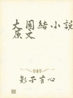大团结小说阅读原文封面