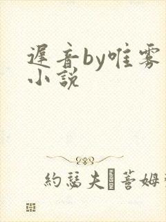 迟音by唯雾的小说