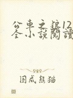 公车之狼12集全小说阅读