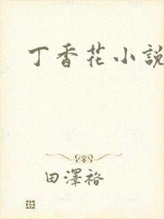 丁香花小说封面