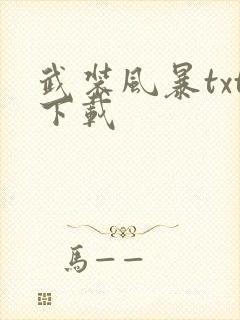 武装风暴txt下载