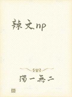 辣文np