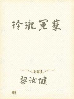 玲珑冤孽