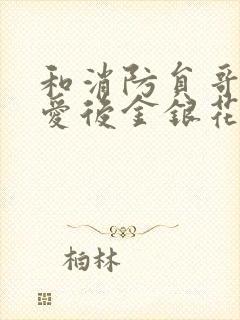 和消防员哥哥恋爱后金银花趣笔阁封面