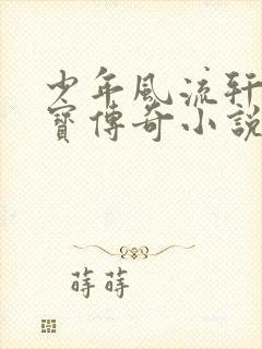 少年风流轩辕大宝传奇小说封面