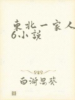 东北一家人1一6小说封面