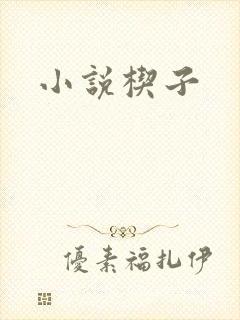 小说楔子封面