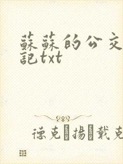 苏苏的公交车日记txt