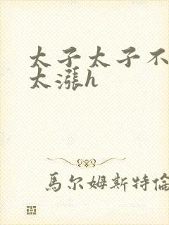 太子太子不要了太涨h