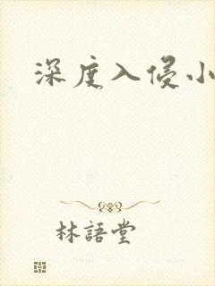 深度入侵小说