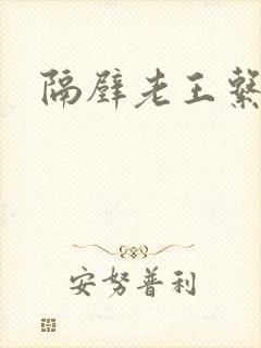 隔壁老王系统封面
