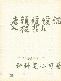 老头缓缓沉腰进入校花h