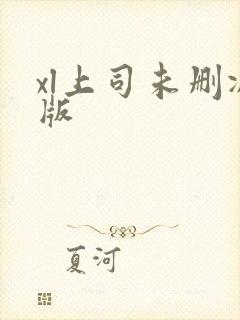 xl上司未删减版