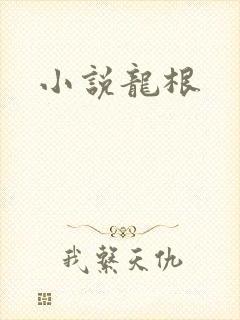 小说龙根