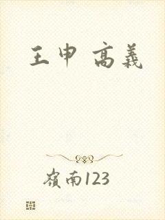 王申 高义