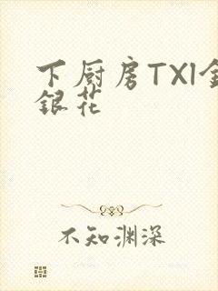 下厨房TXl金银花