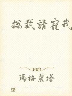 总裁请宠我