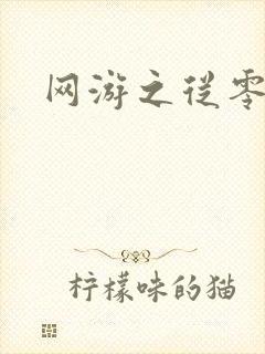 网游之从零开始