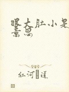 眼大肚小是什么意思封面