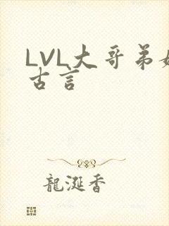 LVL大哥弟媳古言封面