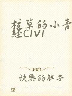 校草的小青梅不经C1V1