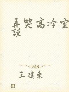 弄哭高冷室友小说封面