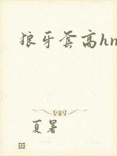 狼牙套高hnp