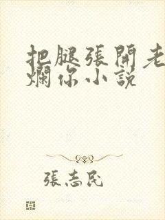 把腿张开老子臊烂你小说封面
