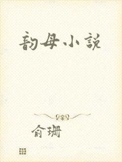 韵母小说封面