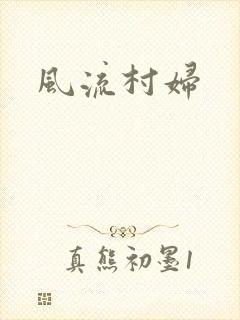 风流村妇封面