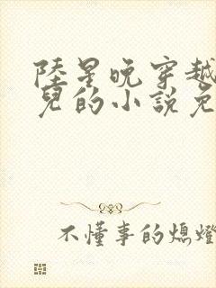 陆星晚穿越成婴儿的小说免费阅读全文