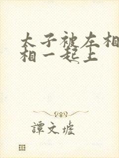 太子被左相和右相一起上