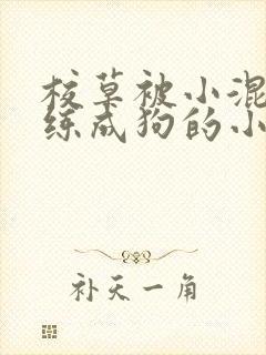 校草被小混混训练成狗的小说封面