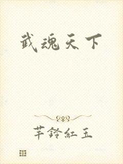 武魂天下封面