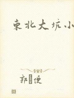 东北大坑小说封面