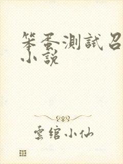 笨蛋测试召唤兽小说封面