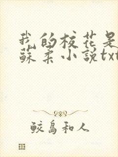 我的校花是福姬苏柔小说txt封面