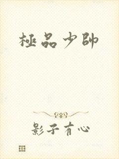 极品少帅