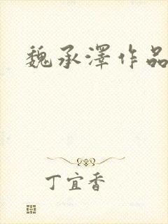 魏承泽作品封面