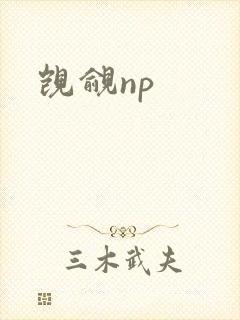 觊觎np