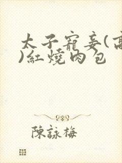 太子宠妾(高肉)红烧肉包