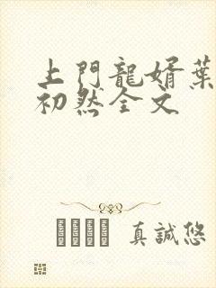 上门龙婿叶辰萧初然全文封面