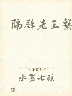 隔壁老王系统