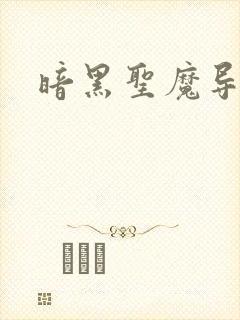 暗黑圣魔导