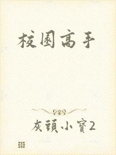 校园高手