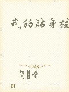 我的贴身校花