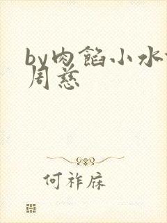 by肉馅小水饺周慈封面