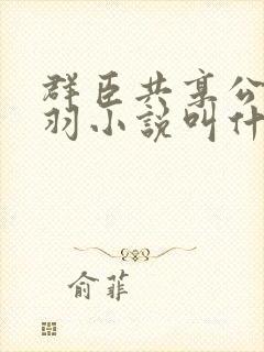 群臣共享公主银羽小说叫什么